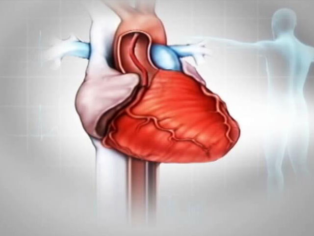 Understanding the Basics About Heart Stents