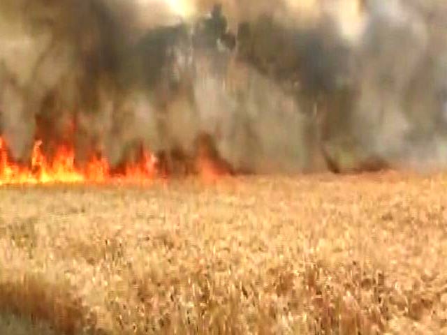 Videos : यूपी के विभिन्न जिलों में आग लगने की घटनाओं में हजारों एकड़ गेहूं की फसल खाक