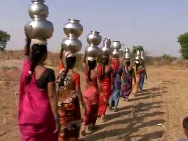 Telangana's Drought Story In One Line: These Women, Walking Single-File
