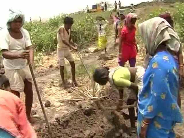Video : 'We Have Neither Food Nor Water': Drought And Despair In Telangana