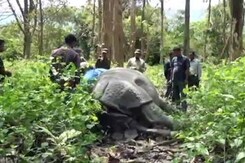 On Day Of Will-Kate's Kaziranga Tour, Rhino Shot With AK-47s On Day Of Will-Kate's Kaziranga Tour, Rhino Shot With AK-47s