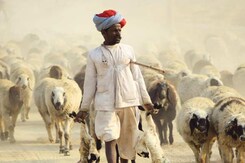 Portrait of the Week 17 Winner: Sumit Paliwal Portrait of the Week 17 Winner: Sumit Paliwal