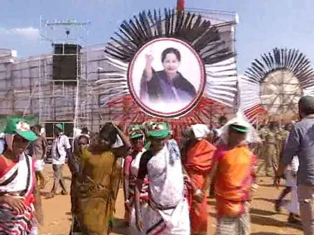 Truth vs Hype: The 'Amma' of All Handouts