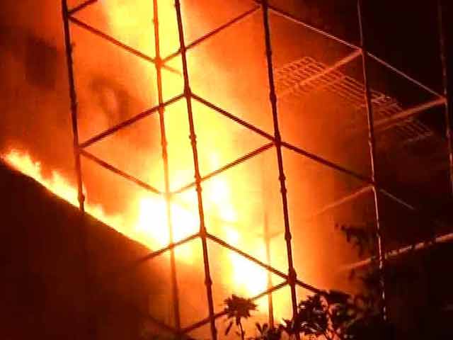 Video : Delhi's Iconic Natural History Museum Destroyed In Fire