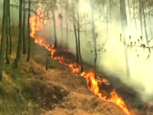 Video : Uttarakhand Forest Fires Now On 88th Day; 6,000 People At Work