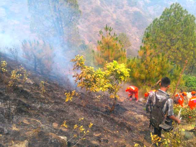 Video : उत्तराखंड : जंगलों में लगी आग पर पानी की बौछार के लिए एमआई-17 हेलीकॉप्टर तैनात