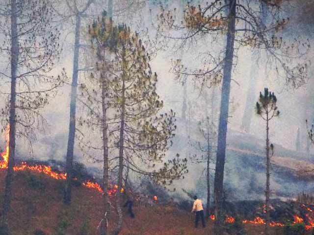 इंडिया 9 बजे : आग से धधक रहे हैं जंगल, हज़ारों गांवों के लोग परेशान