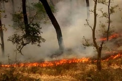 In Thick Smoke From Scattered Forest Fires, Uttarakhand Hopes For Early Rains In Thick Smoke From Scattered Forest Fires, Uttarakhand Hopes For Early Rains