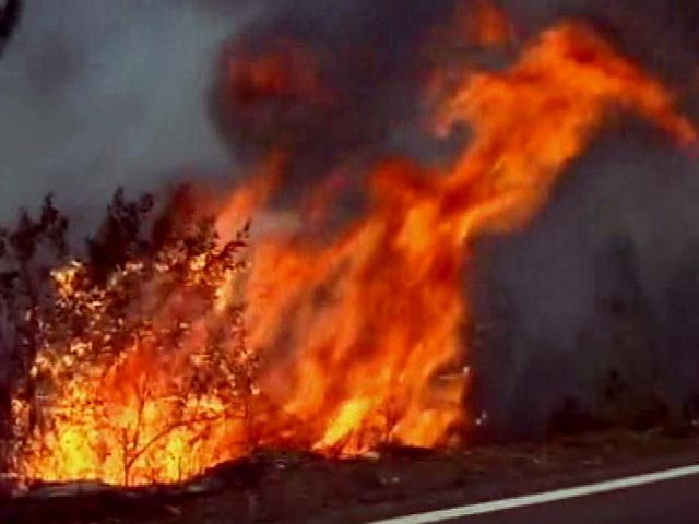 Fire Out In 70 Per Cent Of Affected Areas In Uttarakhand