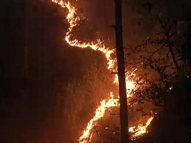 Videos : नेशनल रिपोर्टर : जंगल की आग में धधकता उत्तराखंड