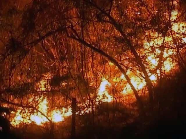 Videos : 10 बातें : उत्तराखंड के जंगलों में लगी आग
