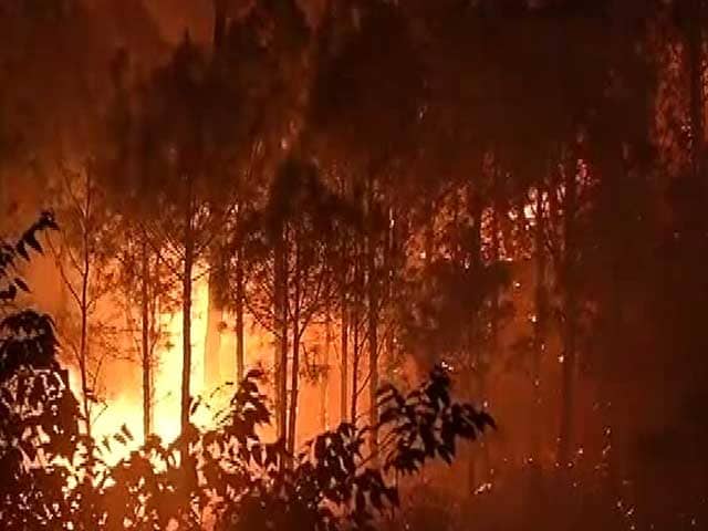 Video : प्राइम टाइम इंट्रो : उत्तराखंड की आग इतनी भयानक क्यों हुई?