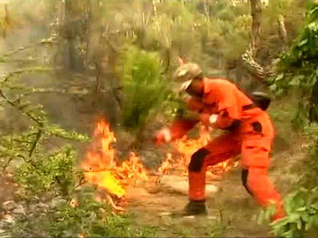 8 Men, 8 Hours: That's What It Took To Douse Fire On 1 Hill Of Uttarakhand