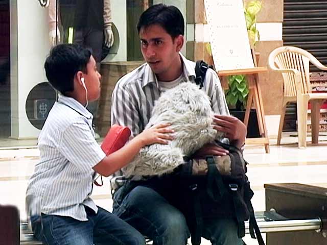 This Dog is Going to Crack You Up