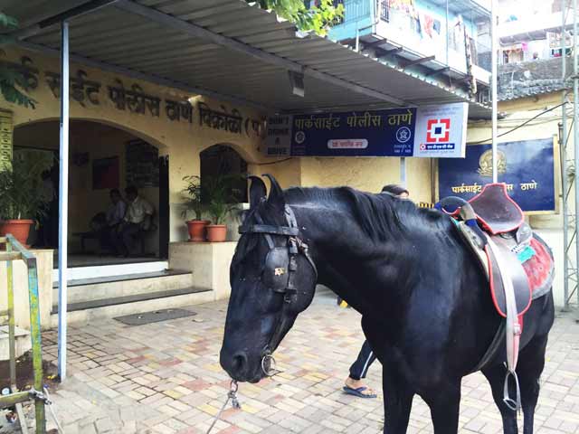 राहगीर को घोड़े ने किया गंभीर रूप से घायल, चश्मदीद नहीं पहचान पा रहे 'हमलावर' को