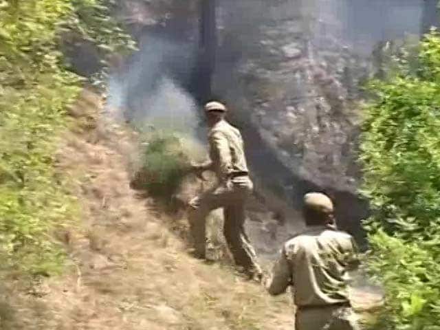Video : How Himachal's Ill-equipped Fire Fighters Are Dousing Forest Fires
