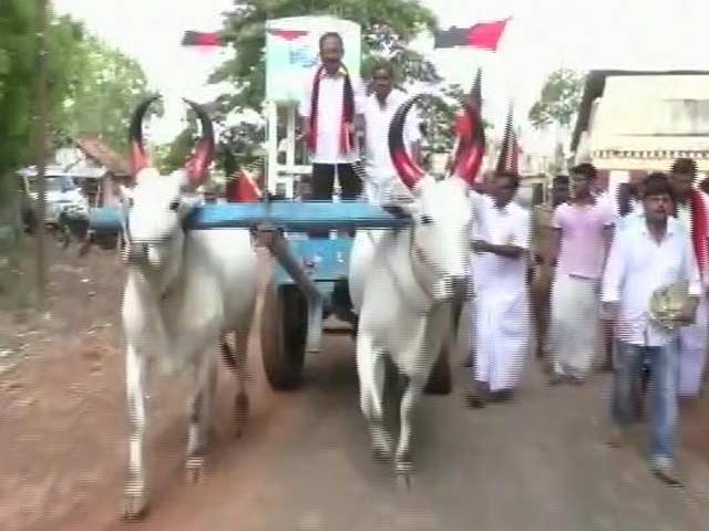 Why Karunanidhi's Youngest Son Is Riding Bullock Cart