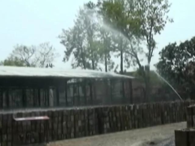 Videos : क्या लीसा माफियाओं ने लगाई उत्तराखंड के जंगल में आग..