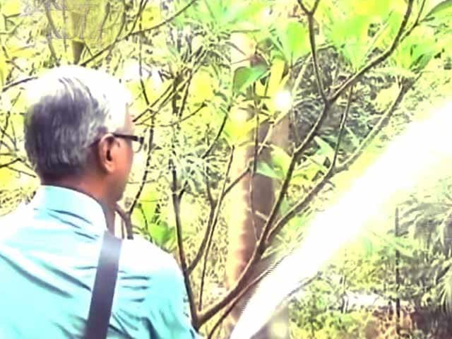 Video : Rainwater Harvesting: Thane Residents Show The Way