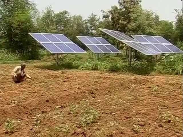 Video : With Solar Power, A Gujarat Village Is Irrigating Its Fields For Free