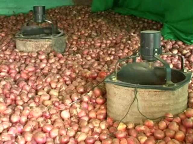 How To Store Onion Without Storehouses? Teen Finds A Way Out