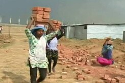 Meera Carries Bricks On Her Head, Clears Class 10, Can't Take A Day Off Meera Carries Bricks On Her Head, Clears Class 10, Can't Take A Day Off