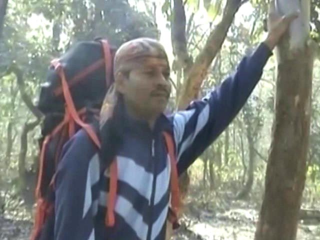 Bengal Mountaineer Dies, Everest Death Toll Touches Five This Season