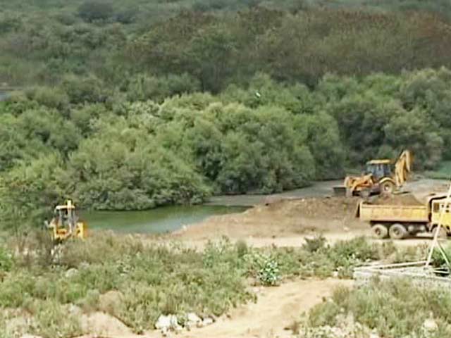 Mangroves In Mumbai Felled In Broad Daylight, Locals Blame BJP Legislator