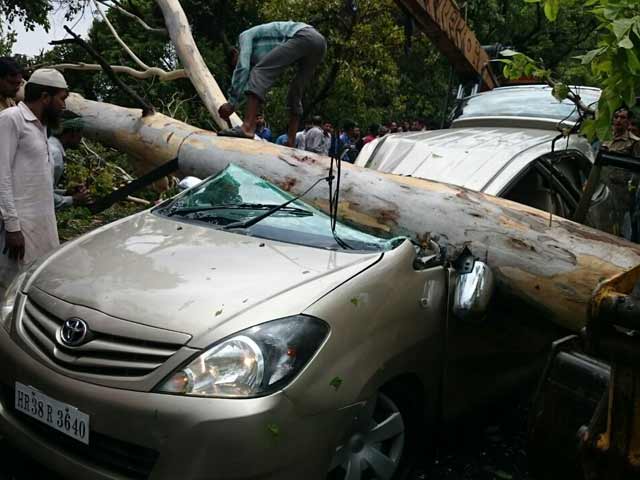 हल्द्वानी में इनोवा पर गिरा पेड़, तीन लोगों की मौत