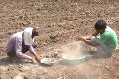 Fly Ash Causing Havoc Across A Dozen Villages In Madhya Pradesh Fly Ash Causing Havoc Across A Dozen Villages In Madhya Pradesh
