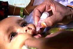 India Is Polio Free, Says Government After Strain Found In Hyderabad India Is Polio Free, Says Government After Strain Found In Hyderabad