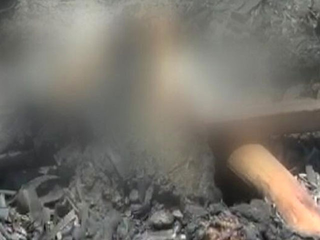 Nearly 80 Dogs Killed In Tamil Nadu, 2 Farmers Arrested