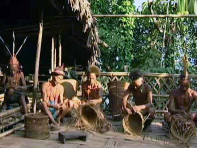 Call Of The Hidden Paradise Part 2