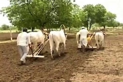 Drought-Hit Marathwada: Monsoon Delayed, Farmers Frantic Drought-Hit Marathwada: Monsoon Delayed, Farmers Frantic