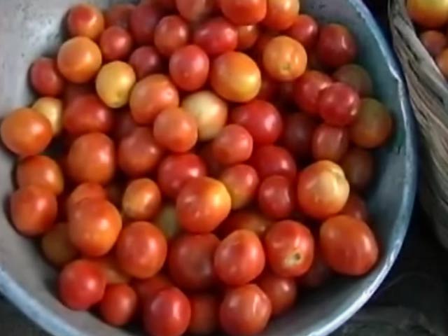 दस बातें : क्या टमाटर की पैदावार कम हुई?