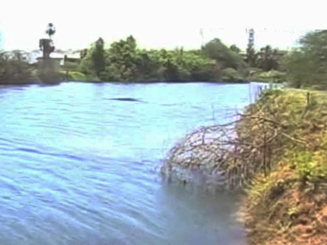 Residents Clean-Up Chennai Lakes