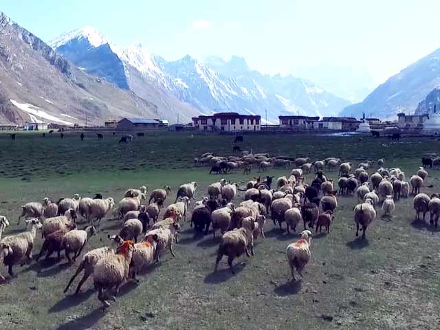 This Aerial View Of Zanskar Region In Ladakh Is Breathtaking