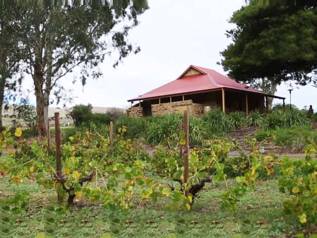 When In South Australia, Jacob's Creek Wine Place Is A Must-Visit