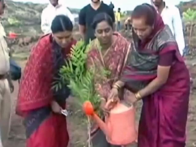 महाराष्ट्र में वृक्षारोपण मुहिम का रियलिटी चेक