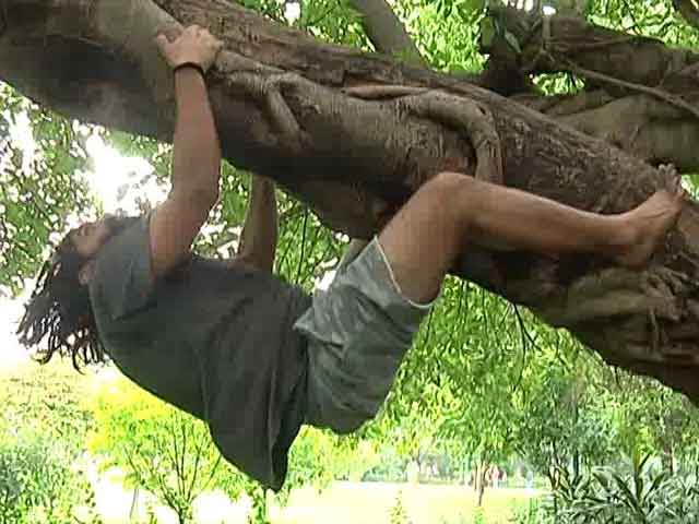 Video : Meet The Environmentalist Who Is Teaching Delhi How To Climb Trees