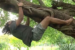 Meet The Environmentalist Who Is Teaching Delhi How To Climb Trees Meet The Environmentalist Who Is Teaching Delhi How To Climb Trees