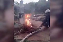 Video Of Boys Burning Puppies Alive In Hyderabad Sparks Outrage Video Of Boys Burning Puppies Alive In Hyderabad Sparks Outrage