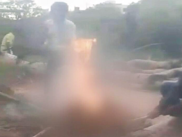 हैदराबाद में पिल्‍लों को जिंदा जलाने का वीडियो आया सामने