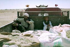 'मदारी' : इस कहानी से आप खुद को जुड़ा हुआ महसूस करेंगे... 'मदारी' : इस कहानी से आप खुद को जुड़ा हुआ महसूस करेंगे...