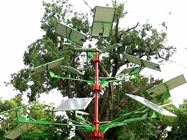 दिल्ली में लगाए गए दिलचस्प पेड़, घरों को मुहैया करेंगे बिजली