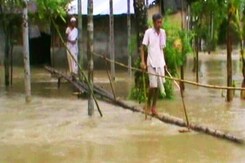 12 Lakh People Affected In Assam Floods, 60% Of Kaziranga Inundated 12 Lakh People Affected In Assam Floods, 60% Of Kaziranga Inundated