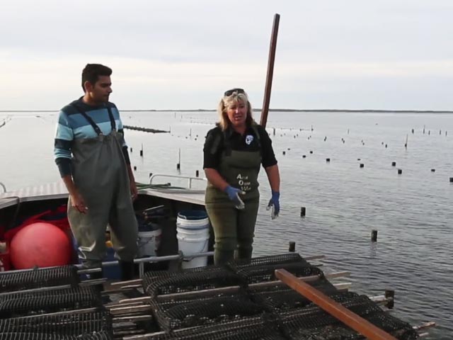 Here's Why A Visit To Smoky Bay Is A Must!