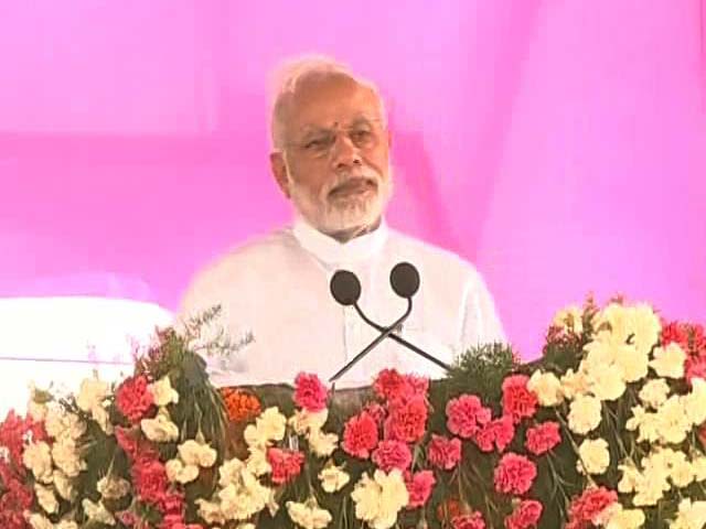 In Telangana, PM Modi Says Fake Cow Vigilantes Dividing Nation, Punish Them