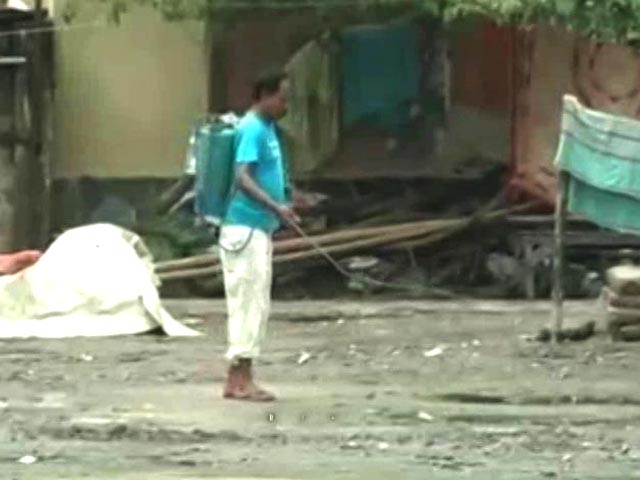 Dengue Claims 13 Lives In Kolkata, 112 New Cases In 48 Hours