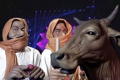 Cow Celeb Watch: An Interview With The Patriot's Poster Girl Cow Celeb Watch: An Interview With The Patriot's Poster Girl